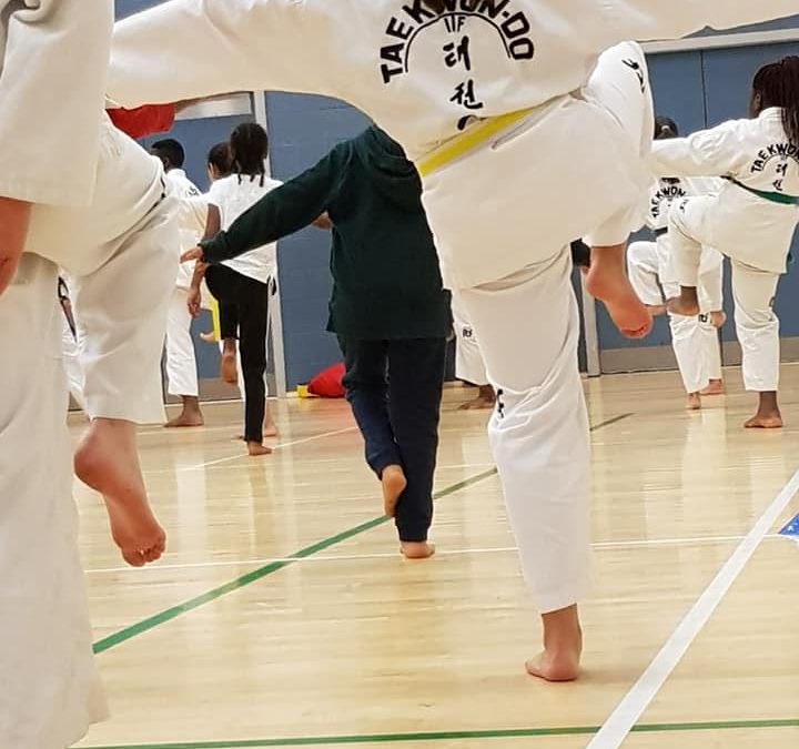 Elite Taekwondo Academy