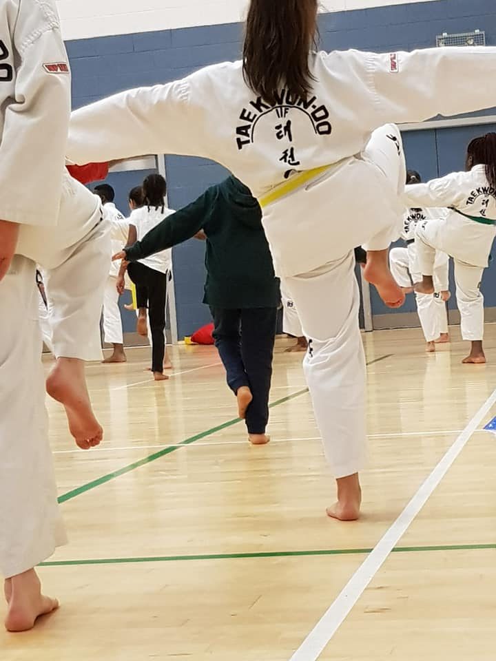 Elite Taekwondo Academy