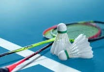Social Badminton
