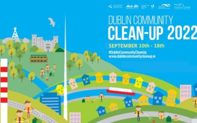 Dublin Community Clean up